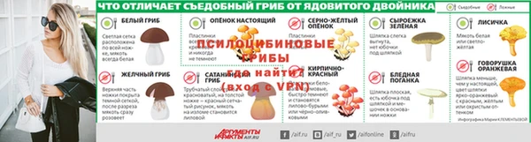 дмт Лагань