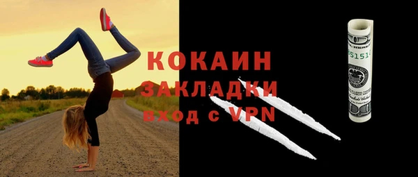 дмт Лагань