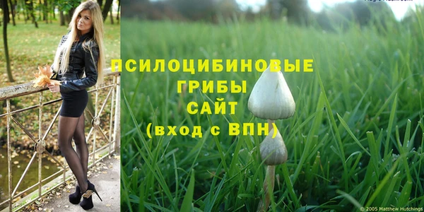 альфа пвп Ладушкин
