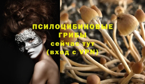 альфа пвп Ладушкин