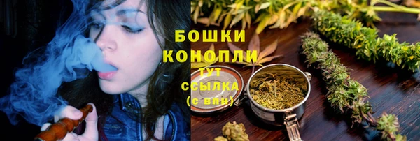 дмт Лагань