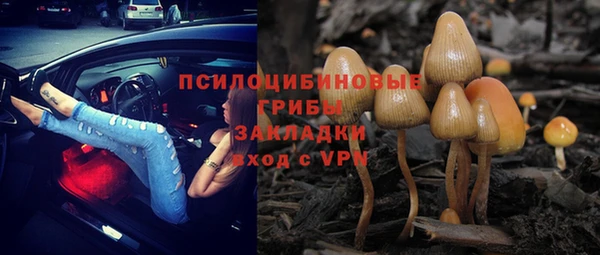 дмт Лагань