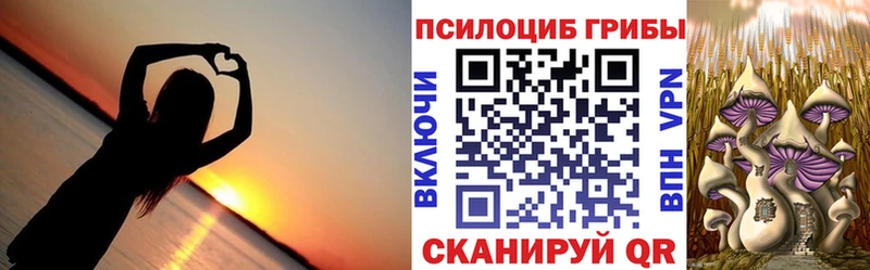 Купить  Каргополь  Галлюциногенные грибы Cubensis 