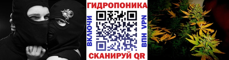 Купить  Каргополь  Конопля MAZAR 